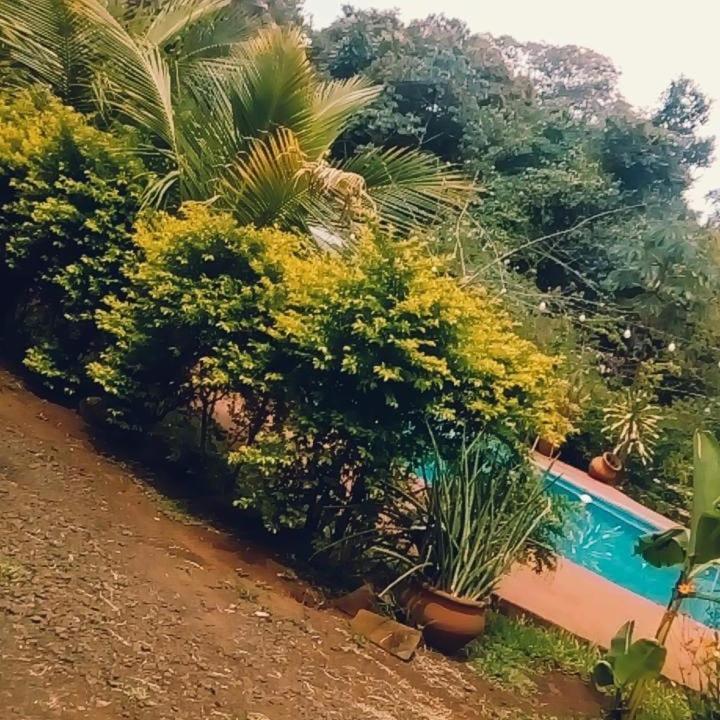 פוארטו איגואסו Hotel Y Residencial Amigos מראה חיצוני תמונה