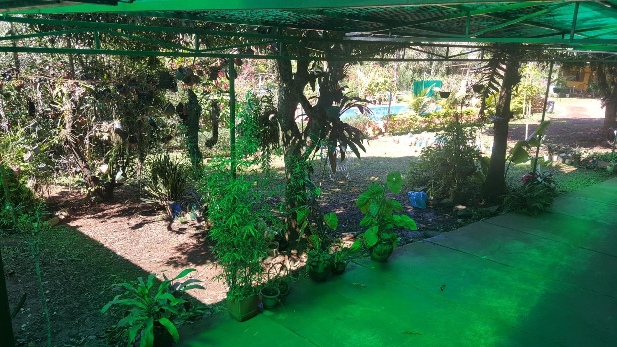 פוארטו איגואסו Hotel Y Residencial Amigos מראה חיצוני תמונה