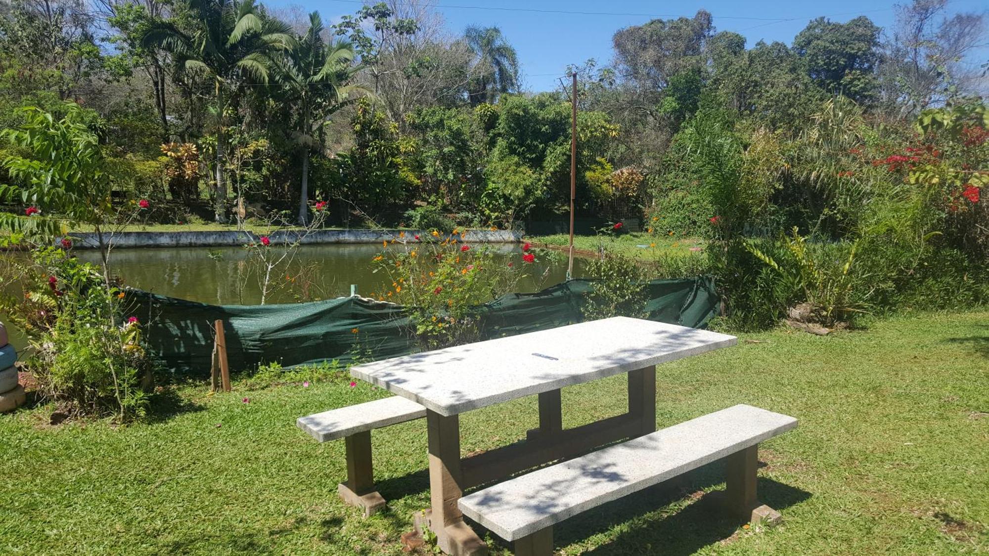 פוארטו איגואסו Hotel Y Residencial Amigos מראה חיצוני תמונה